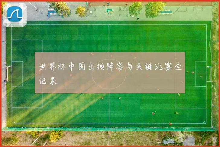 世界杯中国出线阵容与关键比赛全记录