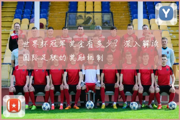 世界杯冠军奖金有多少？深入解读国际足联的奖励机制